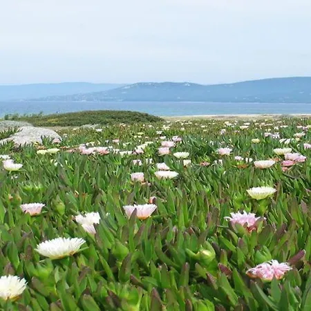 Vila Vue 400m Plages Et Commerces Calme Confort Pour 6 A 8 Personnes Soins De Remise En Forme Possible Propriano (Corsica)
