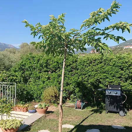 Vue 400m Plages Et Commerces Calme Confort Pour 6 A 8 Personnes Soins De Remise En Forme Possible Vila *