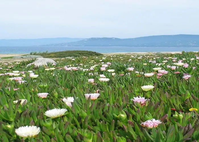 Villa Vue 400m Plages Et Commerces Calme Confort Pour 6 A 8 Personnes Soins De Remise En Forme Possible Propriano (Corsica)