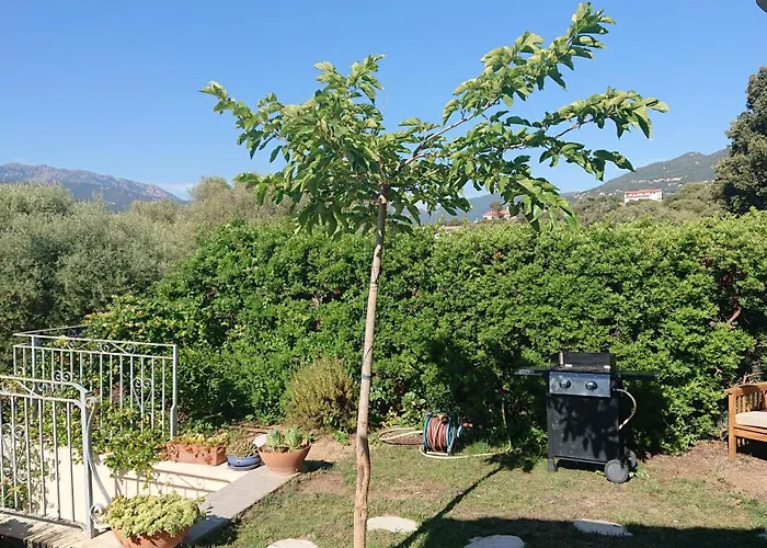 Vue 400m Plages Et Commerces Calme Confort Pour 6 A 8 Personnes Soins De Remise En Forme Possible Villa *